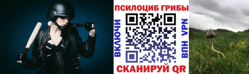 Псилоцибиновые грибы Cubensis  KRAKEN tor  Катайск  наркошоп 