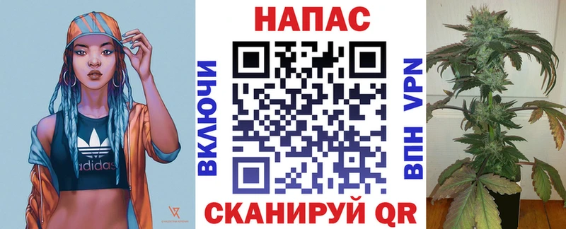 Каннабис ГИДРОПОН  купить наркоту  Катайск 